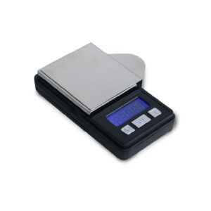 Weighting scale
